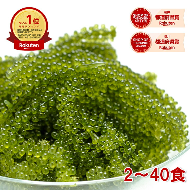 【1位】海ぶどう 2食～40食 常温保存 選べるサイズ 食べ切りパック ご当地グルメ 1000円ポッキリ 塩漬け特許技術 増える 賞味期限長い 海藻 無添加 無着色 お取り寄せ 贈り物 海ぶどう おつまみ ギフト 島らっきょう 海ブドウ 売れ筋 メール便送料無料 【動画あり】