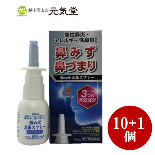 期間限定特価 週末限定10 Offクーポン配布中 3 14 日 まで 第2類医薬品 雪の元点鼻スプレー30ml 10箱セット 1箱 置き薬 配置薬 雪の元本店w 楽天ランキング1位 Opk Rks Org