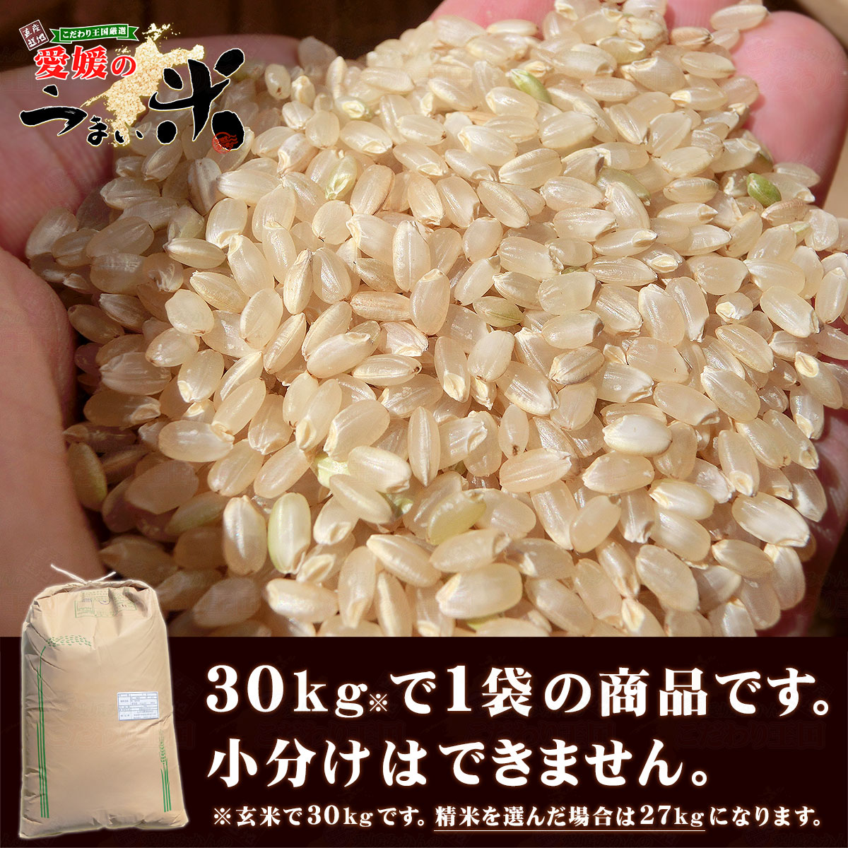 【楽天市場】【令和4年度新米】愛媛県産 三間米 こしひかり 玄米 30kg（精米 27kg） 一等米 単一原料米 えひめが誇る No.1高級