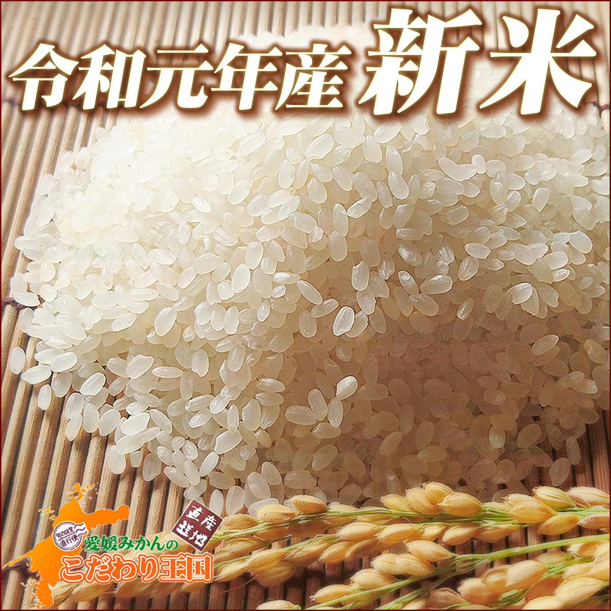 令和2年度産 ひのひかり（愛媛県産） 玄米30キロの+