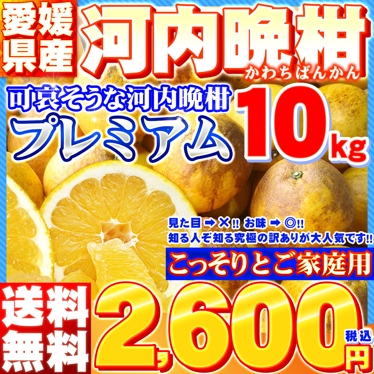 楽天市場 樹齢40年以上 可哀そうな プレミアム 河内晩柑 サイズ込み 10kg 送料無料 北海道 沖縄県は除く かわいそうな 晩柑 家庭用 自宅用 箱買い 10キロ かわちばんかん 別名 宇和ゴールド 愛南ゴールド 和製グレープフルーツ 愛媛みかんの こだわり王国