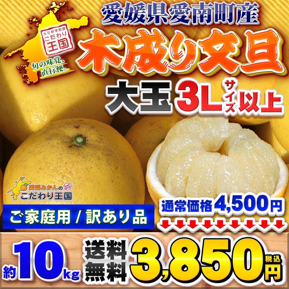 愛媛県 愛南町産 木成り 土佐文旦 10kg 家庭用 訳あり 【送料無料 