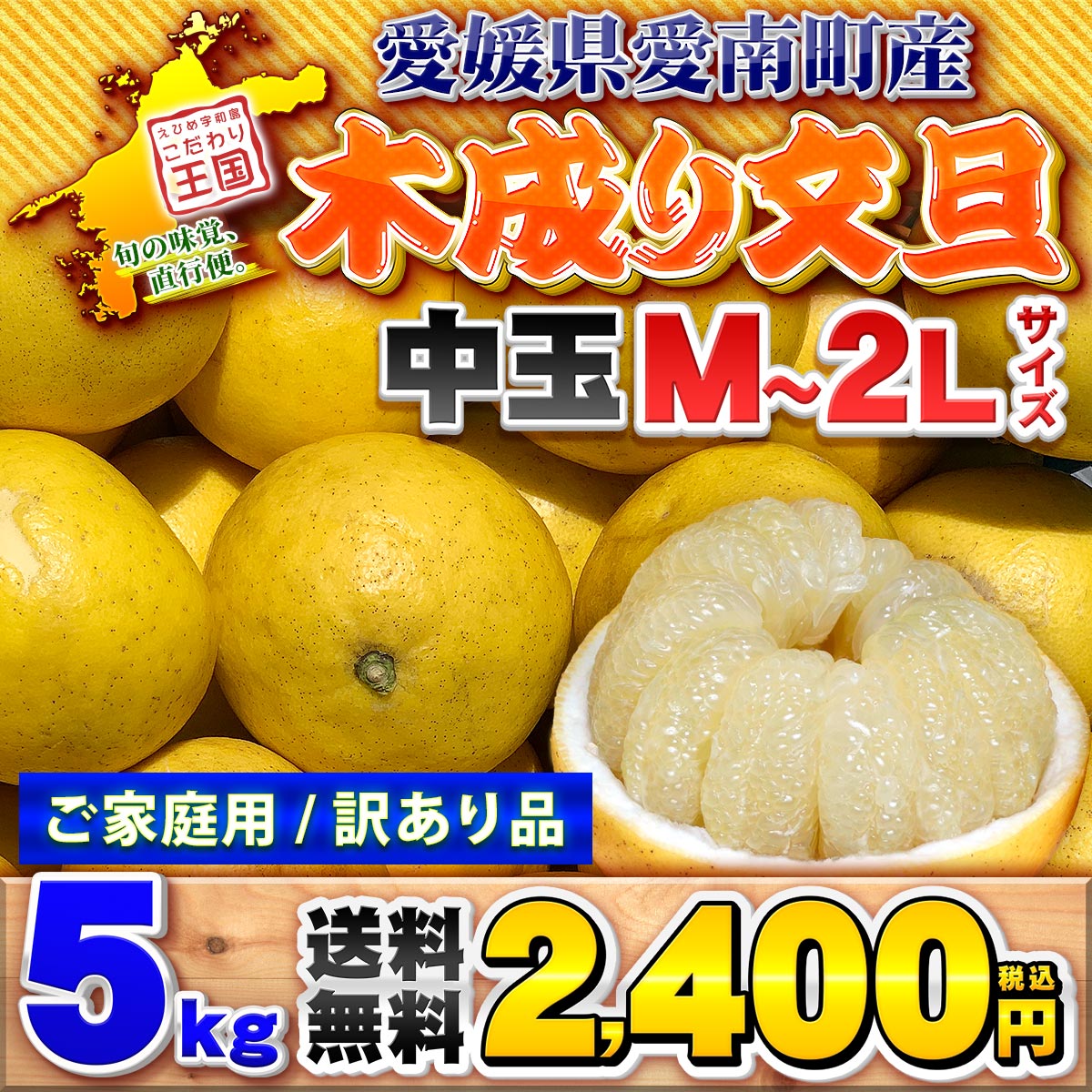 愛媛県 愛南町産 木成り 土佐文旦 10kg 家庭用 訳あり 【送料無料 