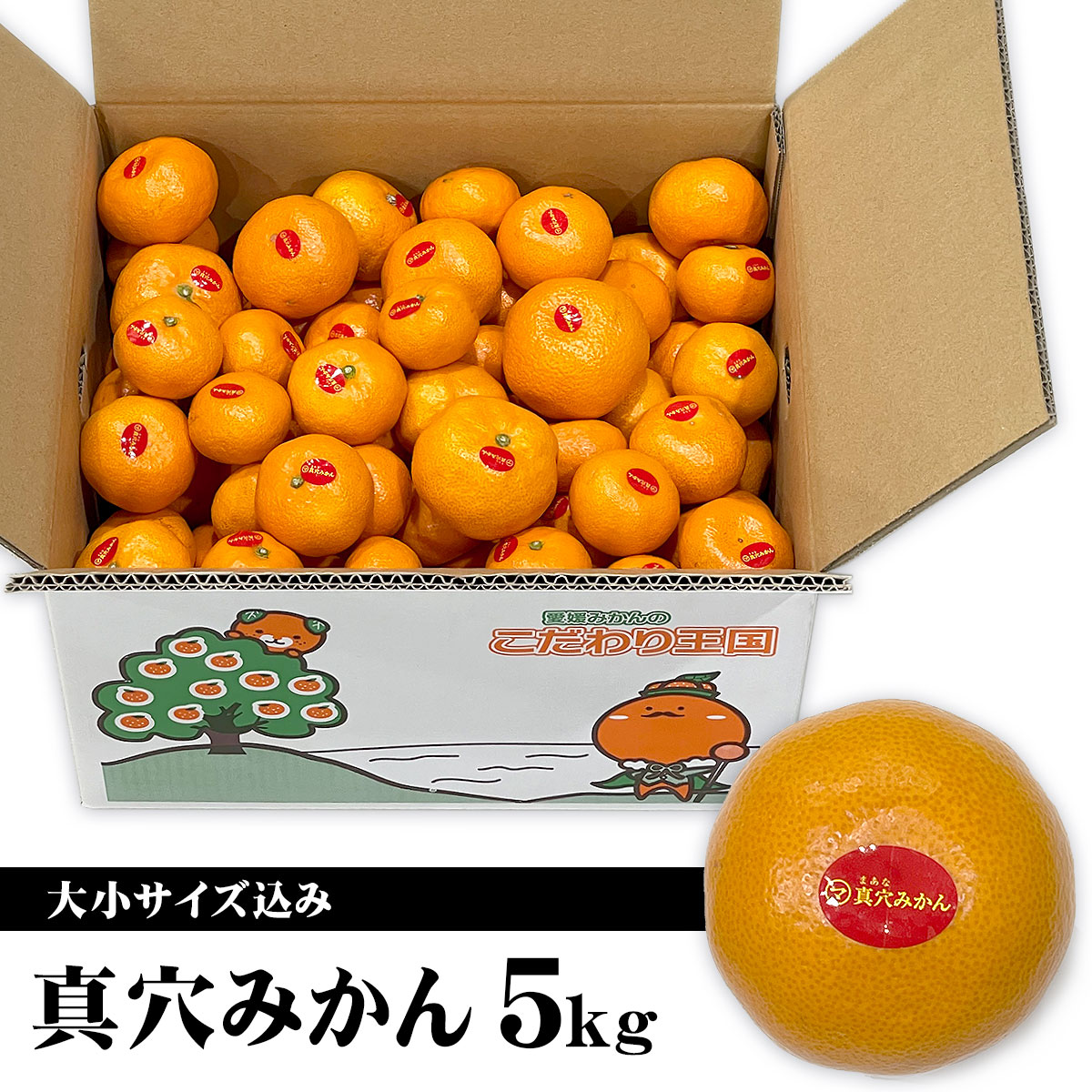 楽天市場】【送料無料】【愛媛県産】秀品 真穴みかん 真穴シール無