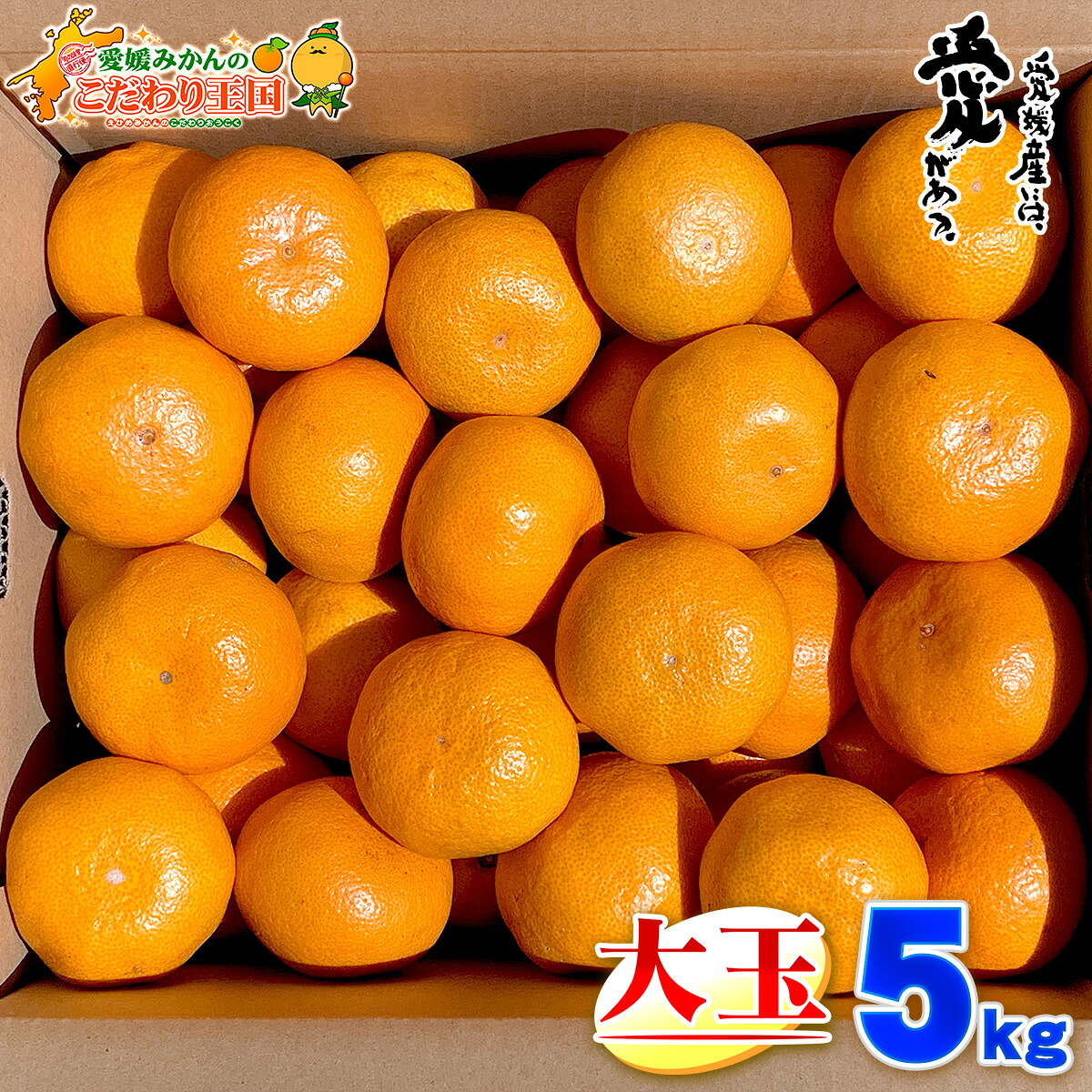 楽天市場 出店15周年の老舗のみかん 愛媛県産 大玉みかん 訳あり 5kg 送料無料 一部地域を除く 大きめサイズの 温州みかん 家庭用 自宅用 訳あり 箱買い 5キロ 愛媛みかんの こだわり王国