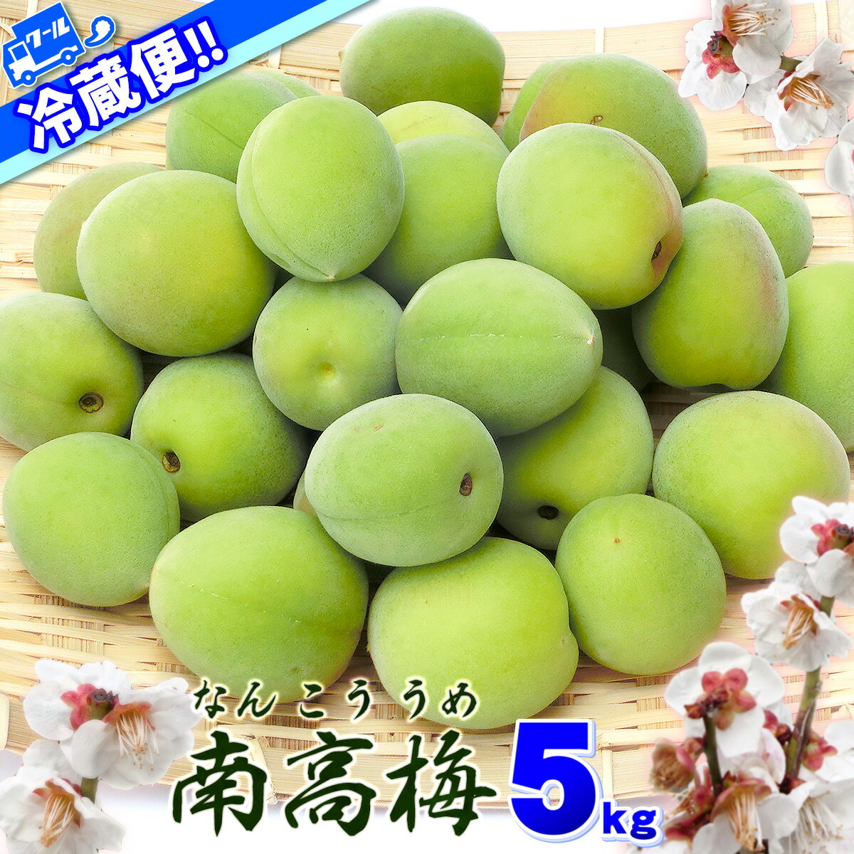 クール冷蔵便 サイズおまかせ 愛媛県産 南高梅 5kg 送料無料 一部地域除く 梅干し 梅酒 梅 シロップ はちみつ漬け 青梅 箱買い 生梅 に最適 訳あり 5キロ なんこう 加工 公式通販 うめ 自宅用 家庭用 クール冷蔵便 サイズおまかせ 愛媛県産 南高梅 5kg 送料無料 一部地域除く 梅干し 梅酒 梅 シロップ はちみつ漬け 青梅 箱買い 生梅 に最適 訳あり 5キロ なんこう 加工 公式通販 うめ 自宅用 家庭用