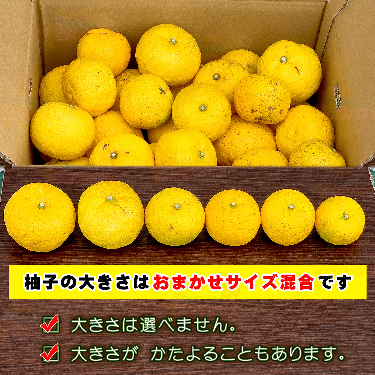 楽天市場】愛媛 県産 柚子 ゆず 10kg 訳あり 家庭用 サイズ おまかせ