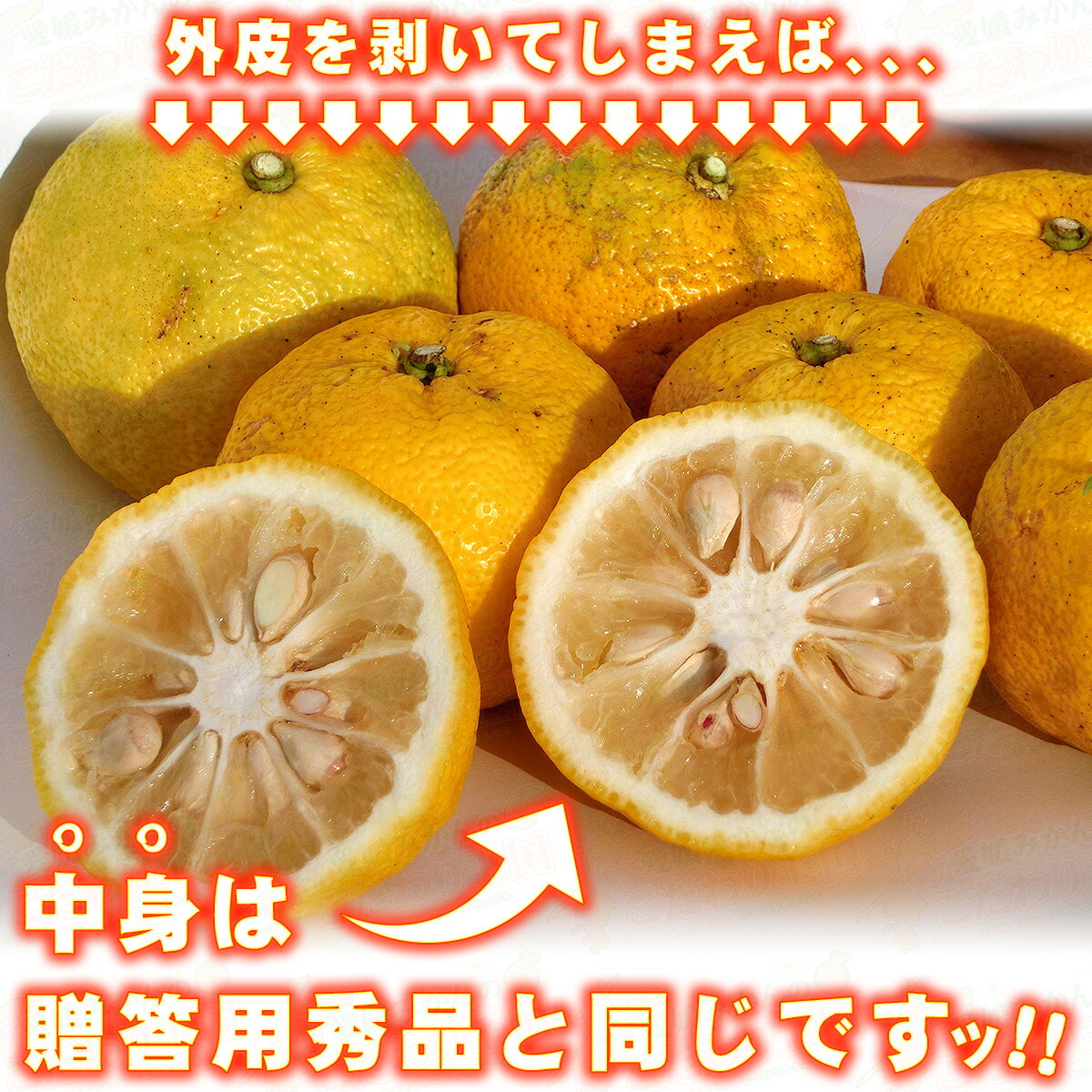 楽天市場】愛媛 県産 柚子 ゆず 10kg 訳あり 家庭用 サイズ おまかせ