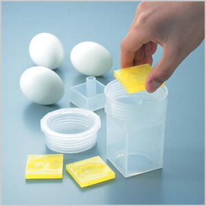 楽天市場】『PPエッグフォード』【四角 型 動物 たまご 卵 ゆで卵 調理