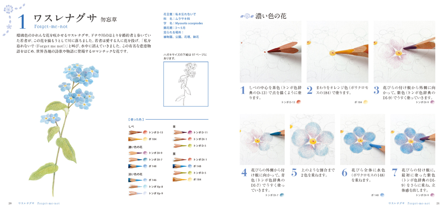 楽天市場 はじめての色えんぴつ画 花いろさんぽ道 色鉛筆 書き方 イラスト テキスト 簡単 かわいい 練習 田代知子 Euro Style Enjo正規取扱店