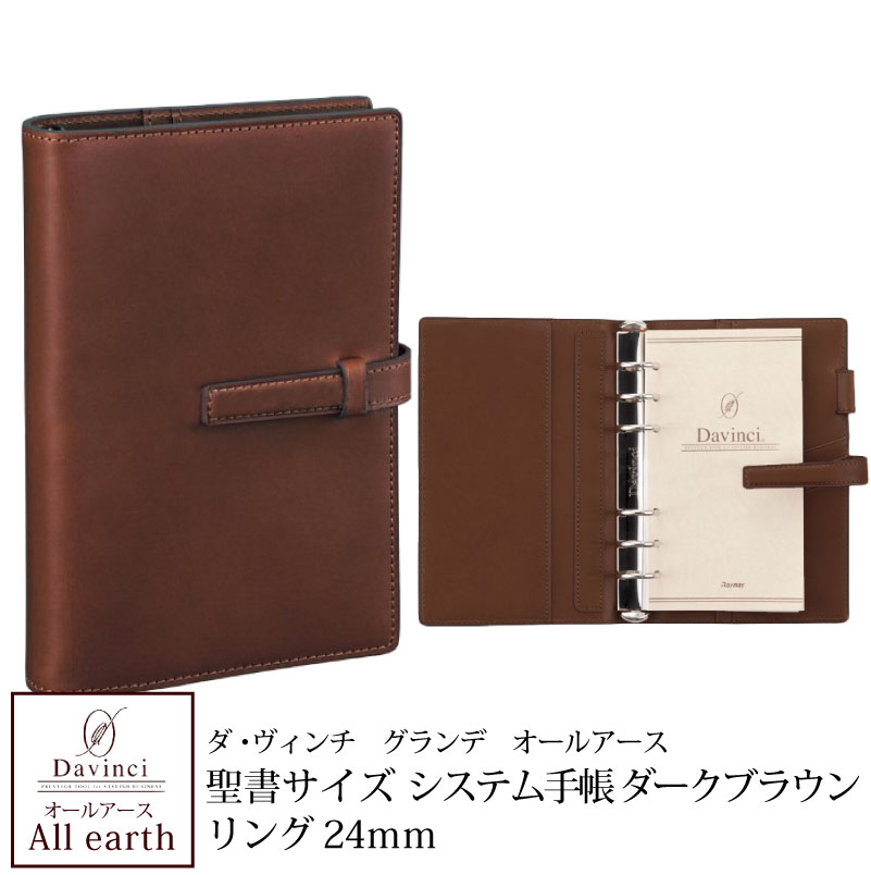 Davinci レザーリング式ファイル ブラウン Amazon.co.jp: レイメイ藤井 システム手帳 ダヴィンチ