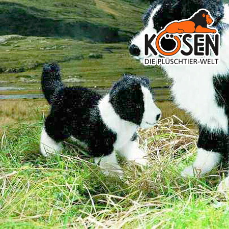 KOESEN ケーセン社 ボーダーコリーの子 4640～ドイツ・KOESEN/KOSEN（ケーセン社）の動物のぬいぐるみ。愛らしい表情の犬（イヌ/いぬ）のぬいぐるみです。出産祝い クリスマス プレゼント 結婚記念日 出産したママへのご褒美にもおすすめ(KSN-J30-11)｜木のおもちゃ ユーロバス