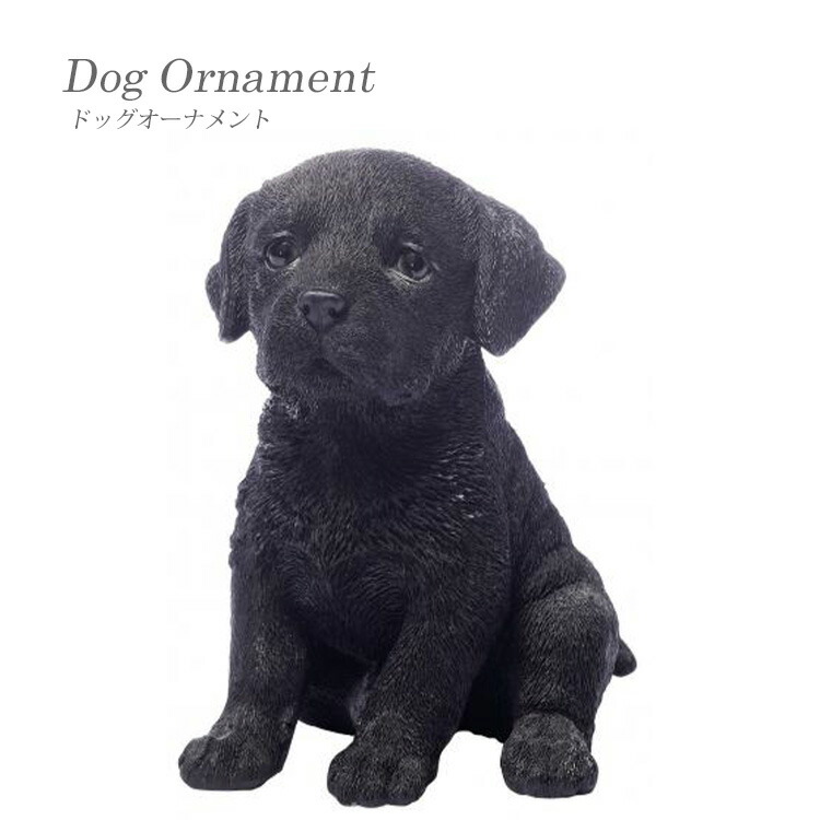 楽天市場】犬の置物 （黒ラブラドールレトリーバー） お座りイヌ 14061