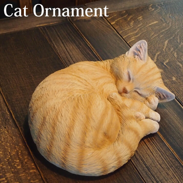 猫茶 imgrc0110714910.jpg