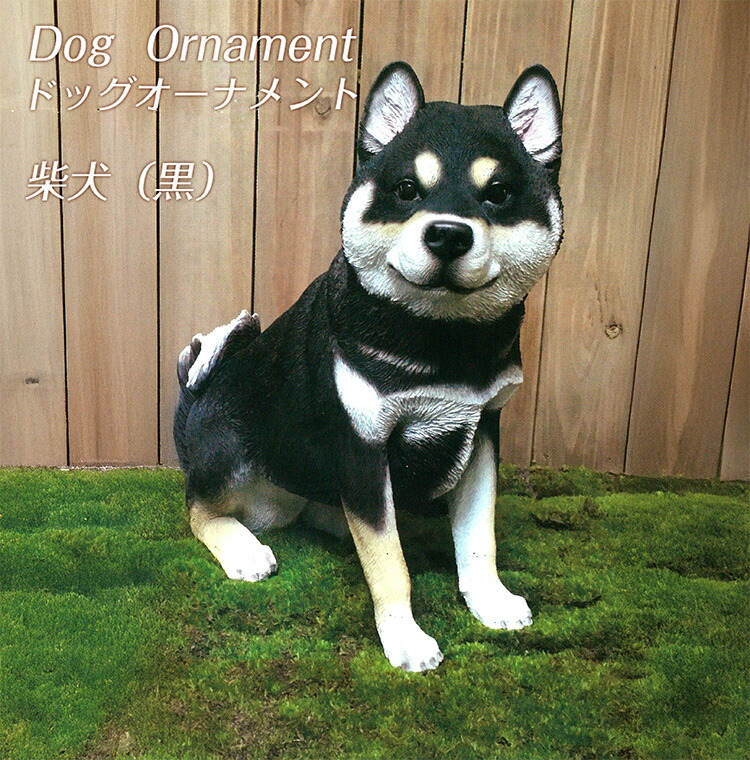 楽天市場】週末は店内商品ポイント最大20倍【送料無料】ドッグ