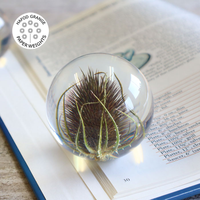 楽天市場】ハフォドグレンジHafodGrange 花文鎮フラワーペーパー