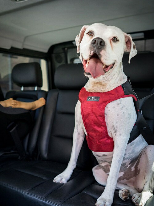 ペット用品 犬 スリーピーポッド Pod シートベルト クリキット ハーネス スリーピーポッド Sleepy ポイント10倍 犬用シートベルト Pod Sleepy クリキット いぬ 正規品 スリーピーポッド Clickit Terrain クリキットテレイン色はストロベリーレッド ｌサイズペット