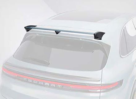 TECHART テックアート リアルーフ Visible Carbon ノーマルルーフ対応 ポルシェ カイエン 9YA.2 Cayenne E3.2 SUV