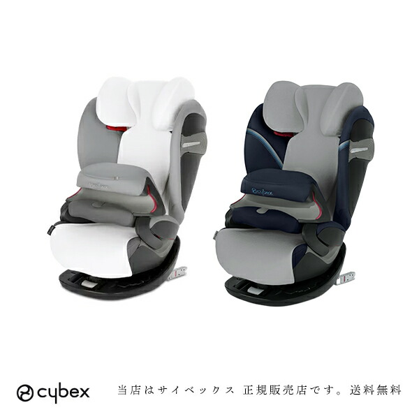 楽天市場】＼全商品11倍以上！／送料無料 サイベックス