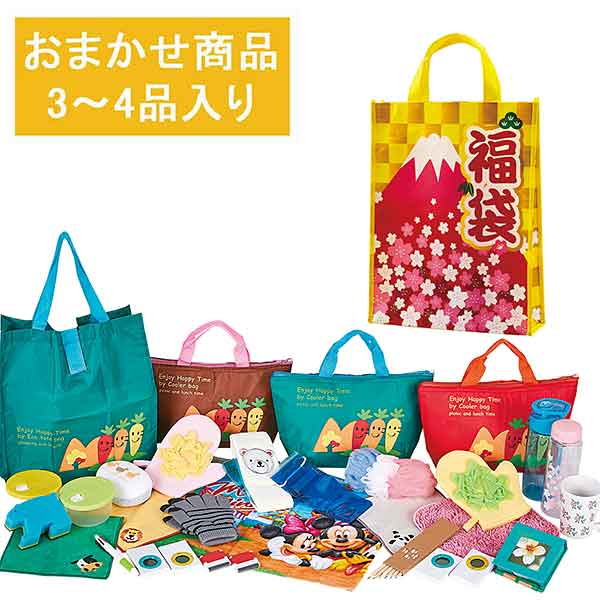 正規品! おまかせ福袋 Ａ 商品3〜4点 48名分福袋 fucoa.cl