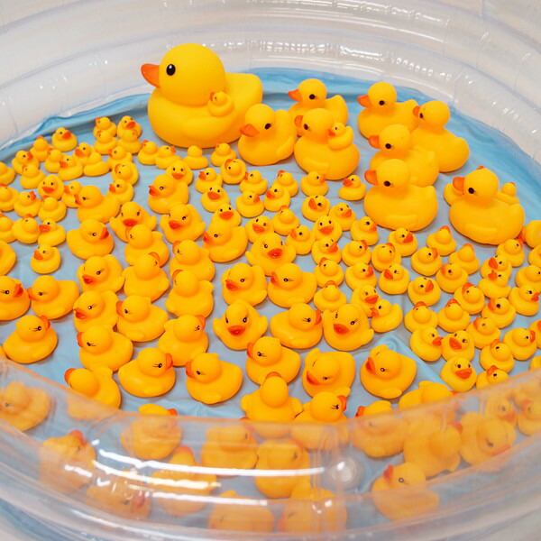 ぷかぷかアヒル大中小すくいどり　154個セット / おもちゃ 景品 お祭り 縁日