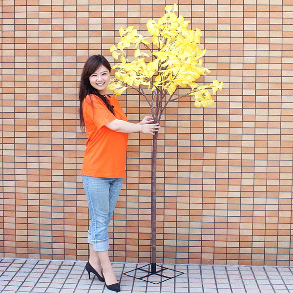 楽天市場】ナチュラルもみじ立木（大） (高さ：180cm） H180×W90cm 布