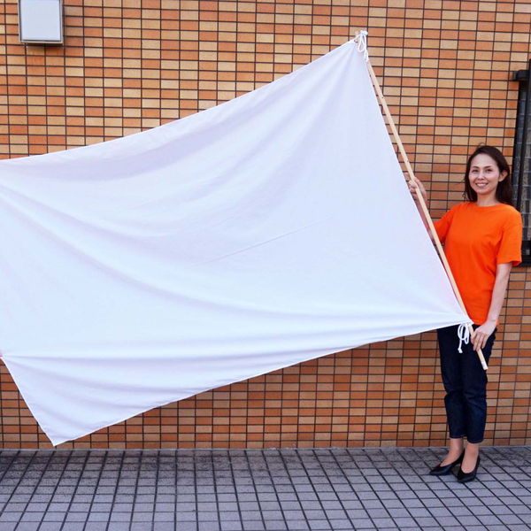 ⭐️ 大分県 旗 テトロン製 日本製 大分県 応援 スポーツ 部活 大会 CMD 白無地 学級旗 4枚 大旗 応援旗 150x90cm 旗 学校 運動会