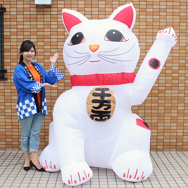 正月装飾　ジャンボエアブロー　招き猫　Lサイズ　215cm / 動画有｜まねき猫 飾り 装飾 ディスプレイ