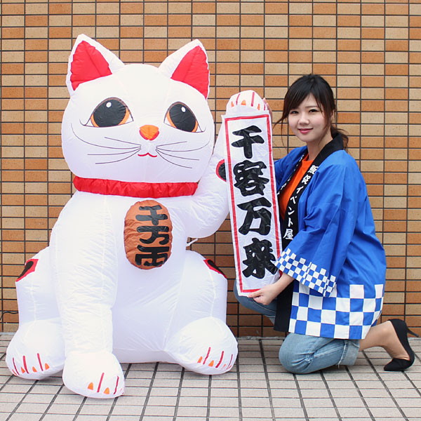 お正月装飾　ジャンボエアブロー　招き猫　Mサイズ　125cm / ディスプレイ 飾り / 動画有