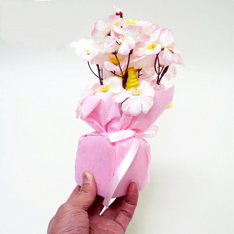 国内正規品 取寄品 高級野点傘 お花見 入学式 デコレーション サクラ ディスプレイ 店舗装飾品 桜 春 Pop さくら 販促品 飾り 新入荷 Alyanwines Com