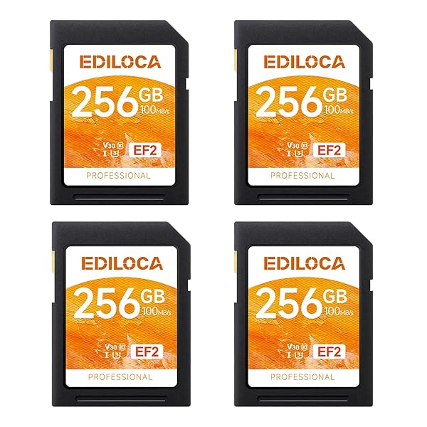 EF2【4枚仕掛ける】256GB SD歌留多 UHS-I Class10 U3 V30 弾丸道路 最大限度読取す早さ 100MB/s 最大限度書込す早さ 90MB/s 記憶装置歌留多 4K/盛りだくさん固定ディスク相応う