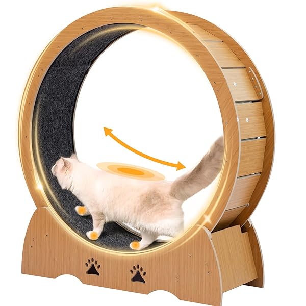 キャットホイール 猫の車輪 猫 ホイール 猫用トレッドミル 直径100cm 猫ランニングホイール 回し車 猫用回し車 運動不足解消 低騒音とロック装置 日本語説明書付き｜ever-leaf