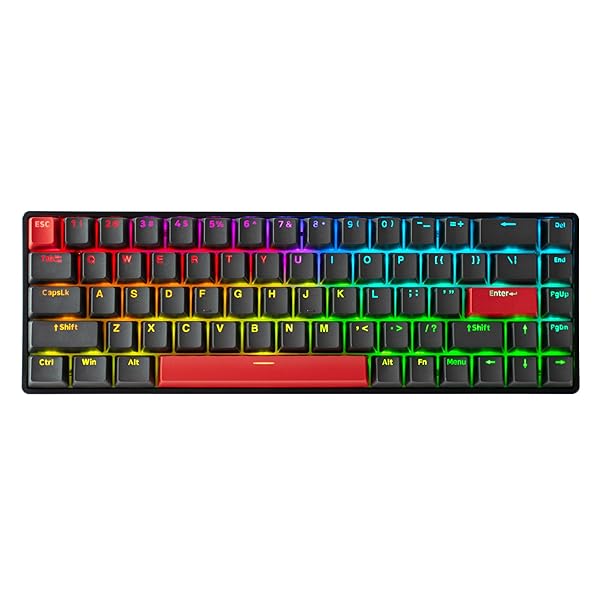 G65 eスポーツゲーミングキーボード、ラピッドトリガーキーボード - ホール効果スイッチ - 磁気スイッチ - ラストウィン＆リリースデュアルトリガーモード - 調整可能な作動、ブラック オレンジ