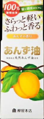 柳屋本店 柳屋　あんず油 60ｍｌ×36個 【送料無料】