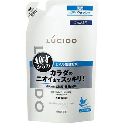 国内外の人気が集結 ルシード ボディウォッシュ 無香料 替 送料無料 380ｍｌ 12個 Planwaerts De