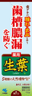 小林製薬  薬用生葉ｂ  １００Ｇ×96個【貨物輸送無料】【口述試験】【歯みがき】【歯刷子】