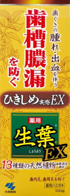 小林製薬  生葉ＥＸ １００ｇ  １００ｇ×96個【貨物輸送無料】【口述試験】【歯みがき】【歯刷子】