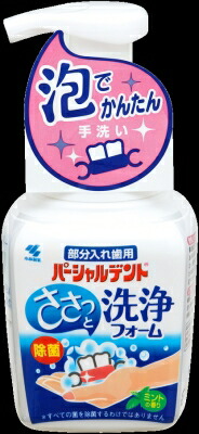 小林製薬 パーシャルデント 洗浄フォーム 250g×24個【送料無料】【オーラル】【歯磨き】【歯ブラシ】|ディスカウントストア てんこもり