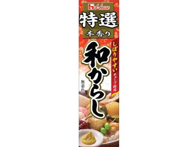 ハウス食品 特選和からし４２ｇ ×120個【送料無料】 12,733円