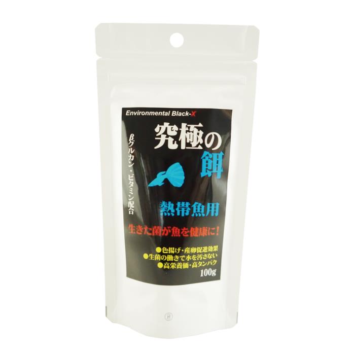 ★専用★珍柄！未使用品 名古屋帯 塩瀬 エンゼルフィッシュ淡い薄グリーン系 名古屋帯 塩瀬 作家物 格子に梅 金彩 裏葉色 O-5048 レディース