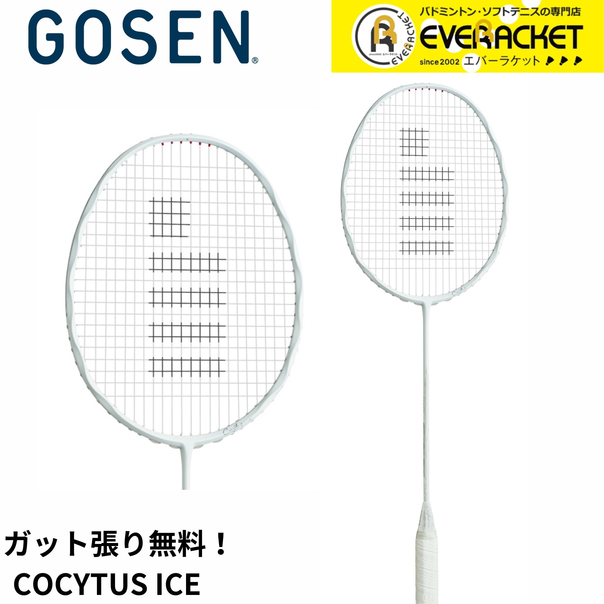 楽天市場】ゴーセン コキュートスアイス COCYTUS ICE 2024AW