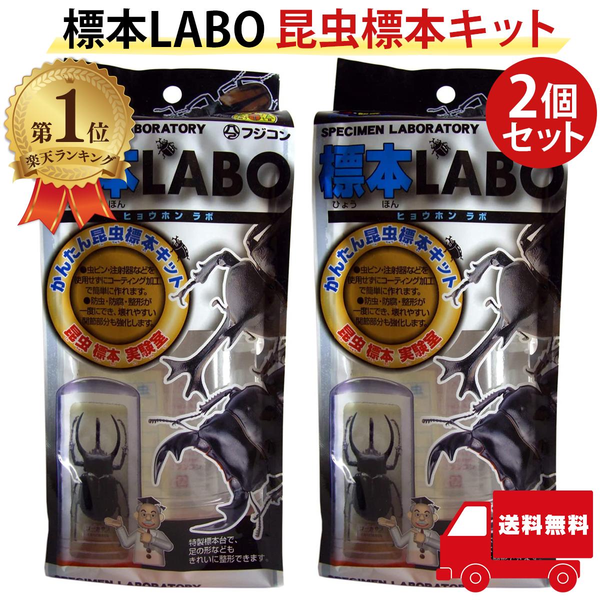 アキゲンゴロウ6点セット昆虫標本 m38470766721_1.jpg?1736270709