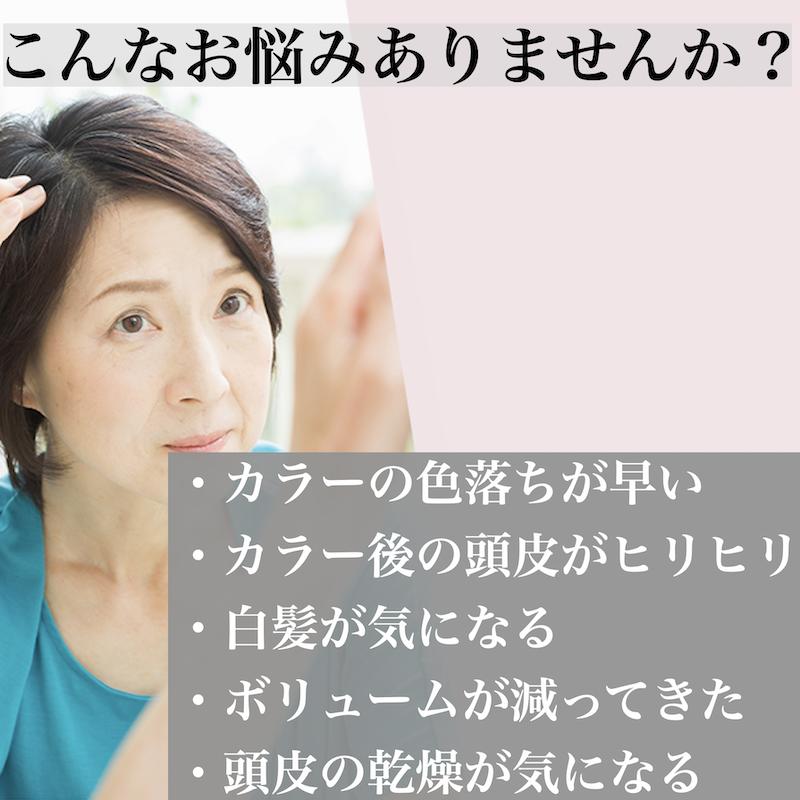 市場 限定 エブリカラーデイズ セット トリートメント 130ml カラー ヘアカラー サロン ZEROカラーケアフォーム 泡 白髪染め コーム  ボトル 美容室 専売