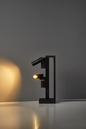SALIOT pico（サリオピコ） LEDスマートライト スマートフォン操作 スポットライト デスクライト 間接照明 (STAND-M 2灯