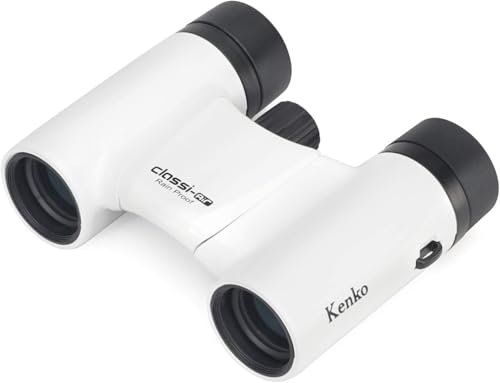 Kenko 双眼鏡 コンサート用 Classi-air クラッシーエアー 8×21DH ダハプリズム式 8倍 21口径 超軽量コンパクト マルチ
