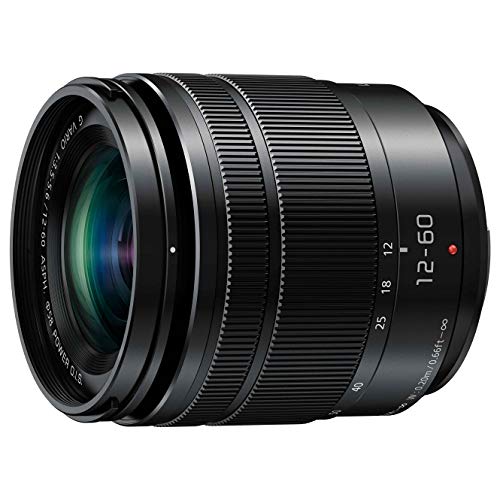 パナソニック(Panasonic) 標準ズームレンズ マイクロフォーサーズ用 ルミックス G VARIO 12-60mm/F3.5-5.6 AS｜エブリデイ・ダイレクト