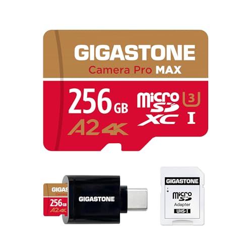 【5年知見立ち直らす・無償取り替えっこ引きうける】GIGASTONE マイクロsd歌留多 256GB Type C歌留多主任者付き添い人 Camera Pro Max SDメモリーカード-TV・オーディオ・カメラ-メモリーカード