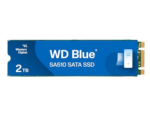 Homos Western Digital 2結核症 WD Blue SA510 SATA Internal Solid State Drive