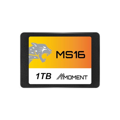 MMOMENT MS16 1結核症 2.5in SSD SATA3 6Gb/s (読込最大550MB/s)