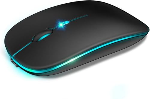 ワイヤレスマウス 静音 充電式 デュアルモード接続 3段階DPI エルゴノミクス設計 デスクトップ/ノートPC/タブレット対応 家庭・オフィス必